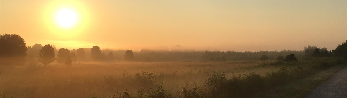 sunset over the woods